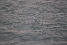 Missing Picture